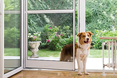 Insektenschutz als Pendeltür